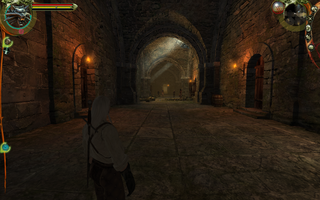 Witcher Enhanced Edition, The